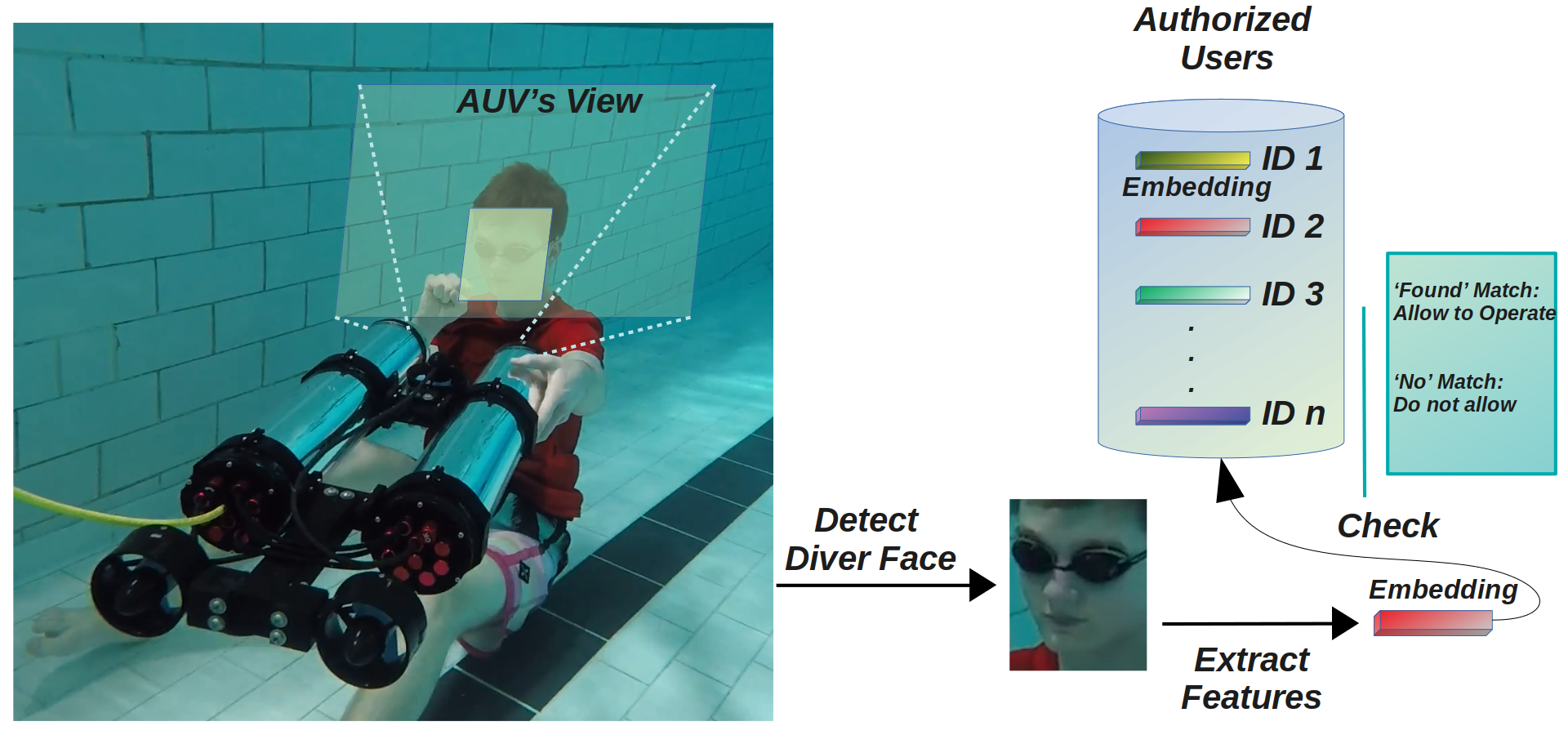 Diver Face Identification (DFI) Framework