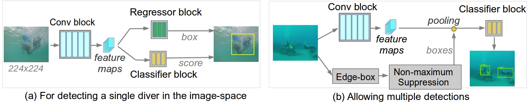 proposed_diver_detection